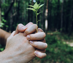 Use Home Equity to Your Advantage