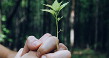 Use Home Equity to Your Advantage