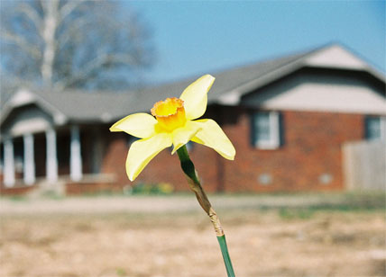 Spring Home Maintenance